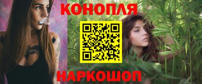 сатива Краснокаменск