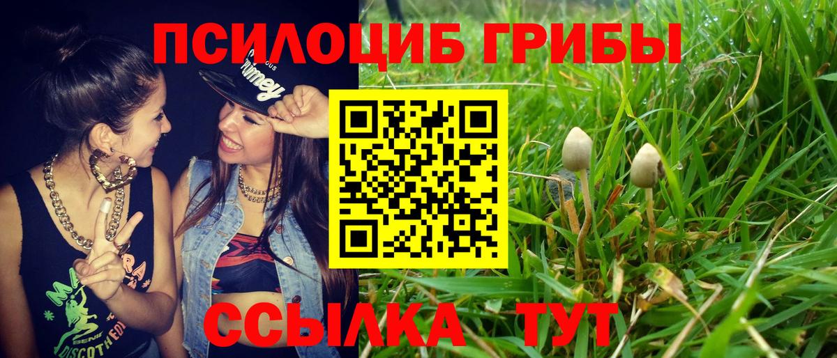 Галлюциногенные грибы мухоморы Керчь