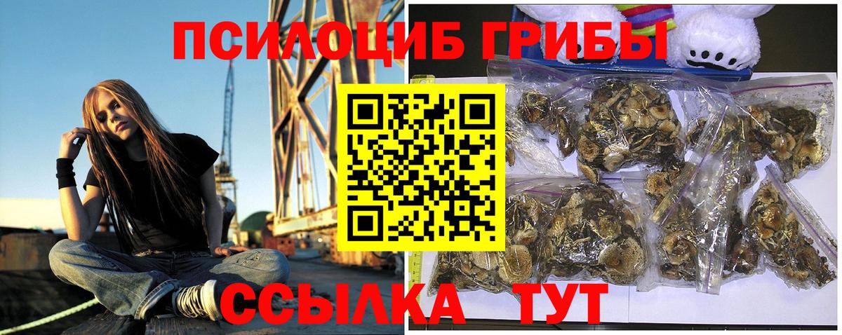 Керчь  что такое   Галлюциногенные грибы MAGIC MUSHROOMS  Вход с VPN  Псилоцибиновые грибы Magic Shrooms 